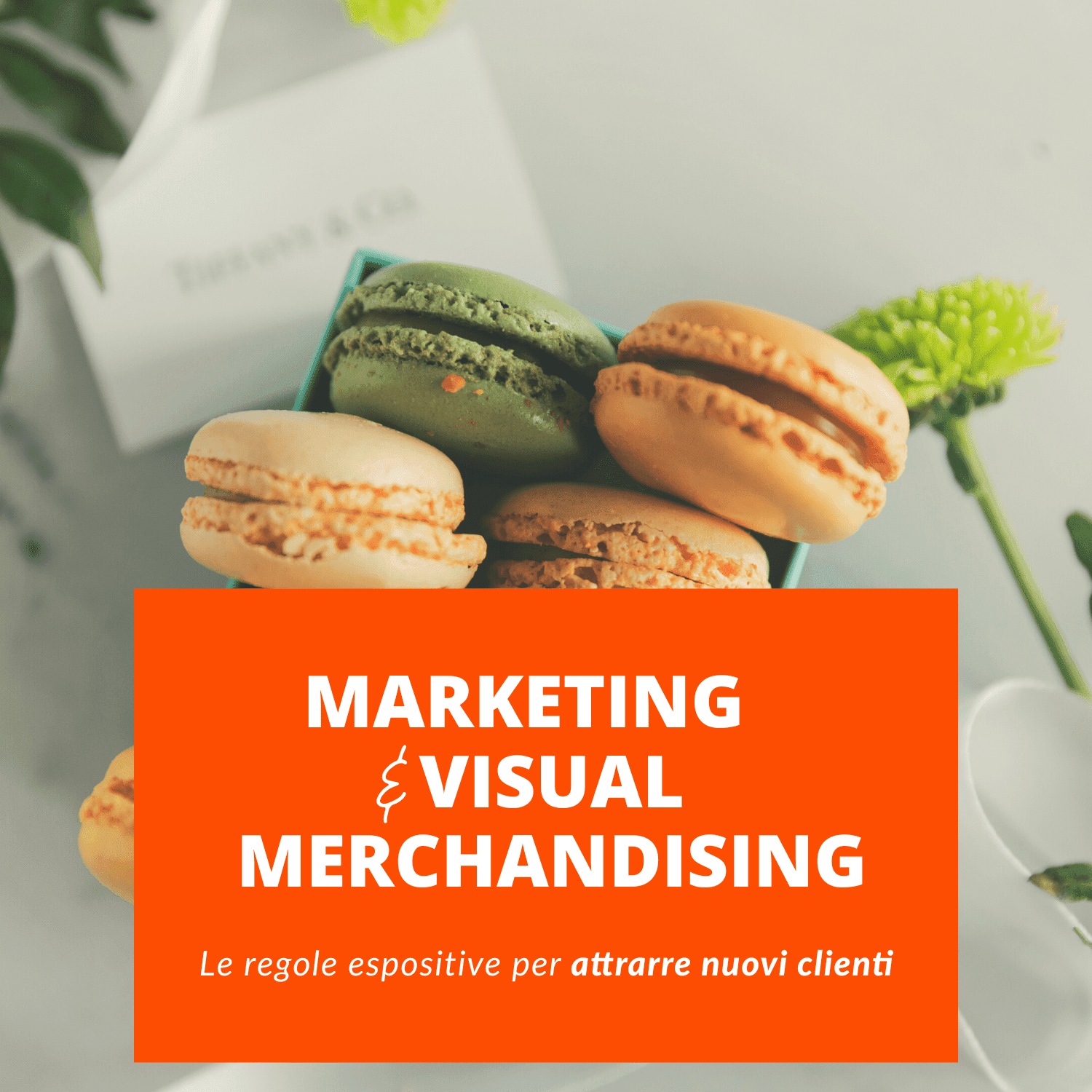 Marketing e Visual Merchandising