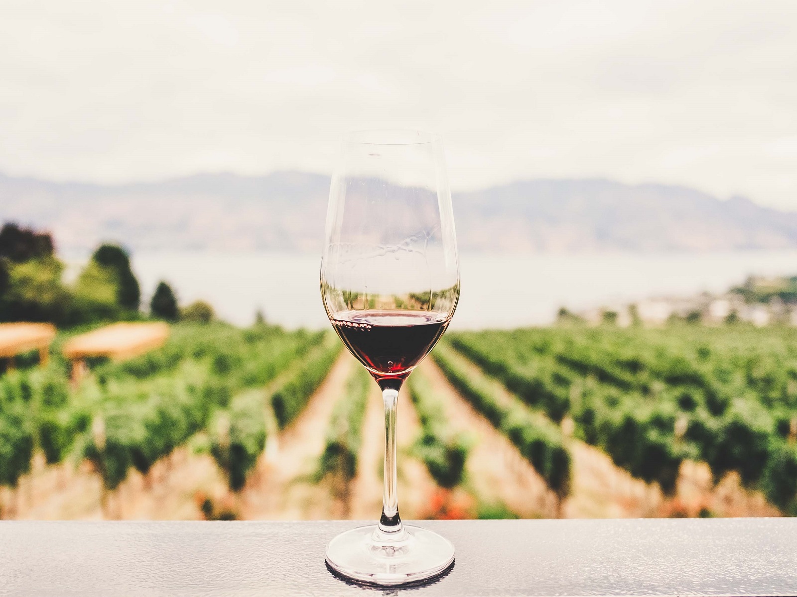 Gli italiani e il vino: si beve meno ma con più consapevolezza