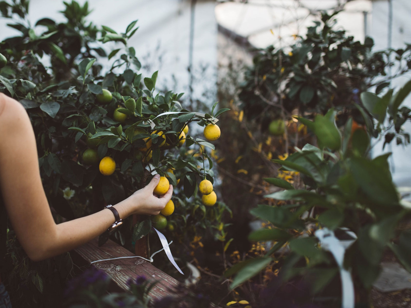 Turismo ecosostenibile, il ruolo del “green team” all’interno dell’albergo