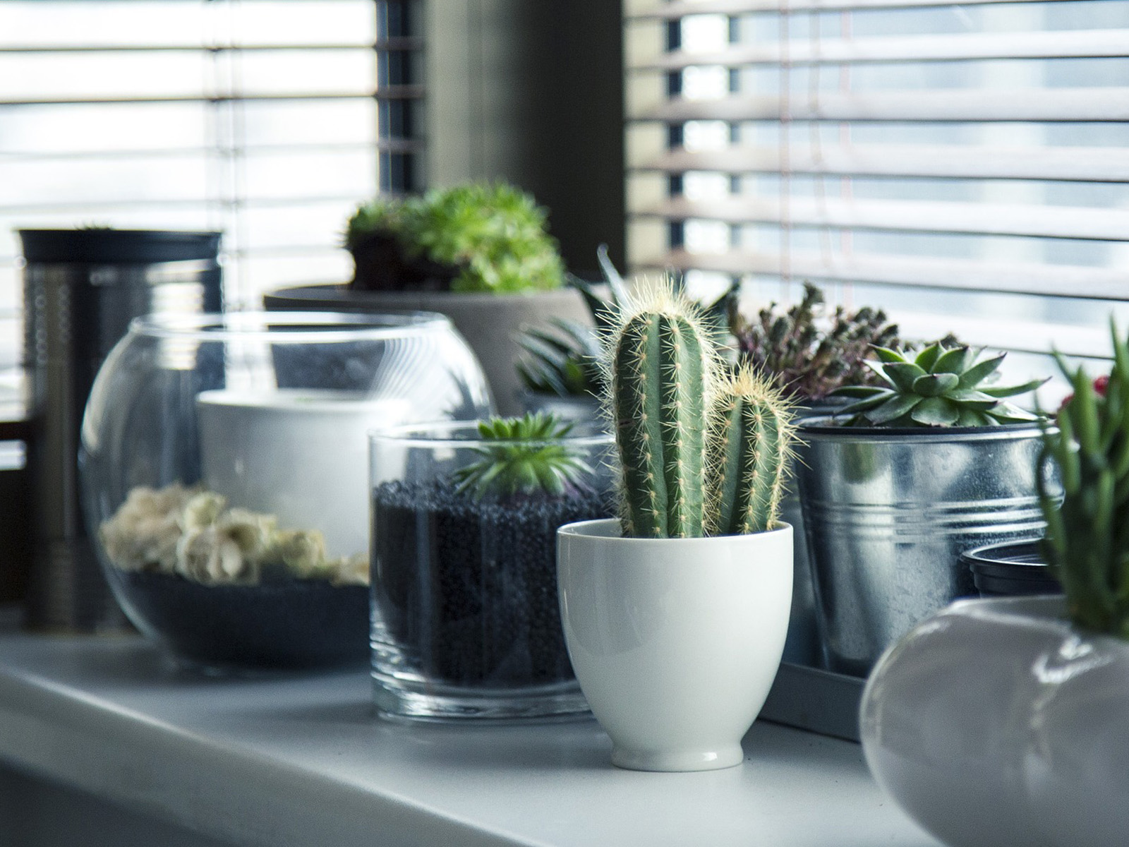 Biodesign: le soluzioni per aziende davvero innovative, dagli hotel ai ristoranti