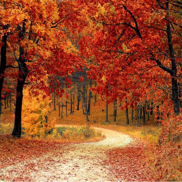 Autunno in hotel: è il momento degli Over 55