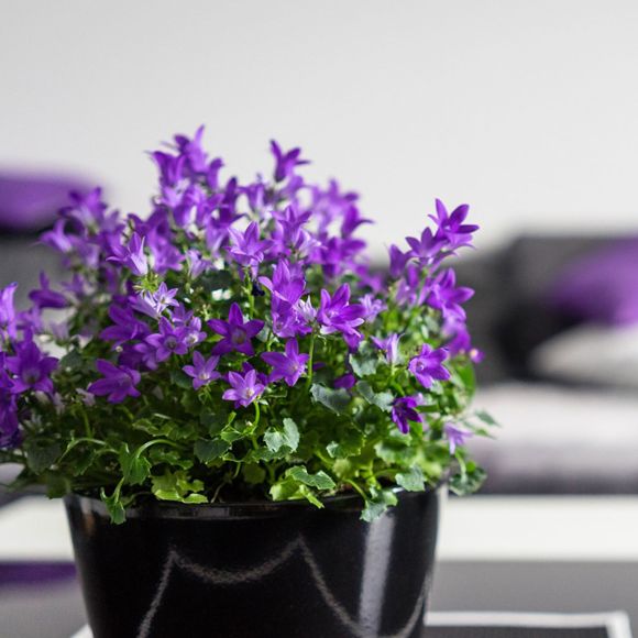 Luci e colori nel marketing: come utilizzarli in modo consapevole