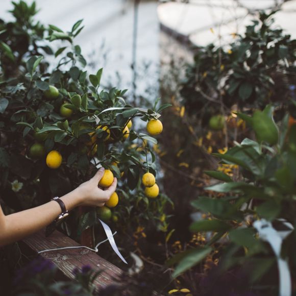 Turismo ecosostenibile, il ruolo del “green team” all’interno dell’albergo