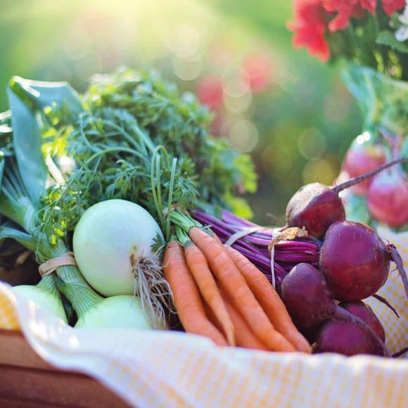 Food Trends del 2017: i consigli dal Festival del Giornalismo Alimentare