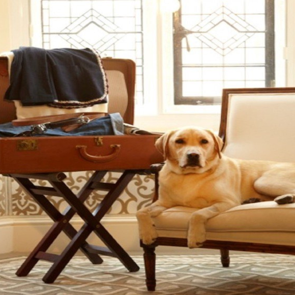 Come trasformare un albergo in un perfetto Hotel pet friendly
