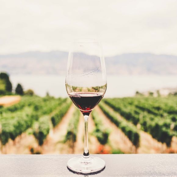 Gli italiani e il vino: si beve meno ma con più consapevolezza